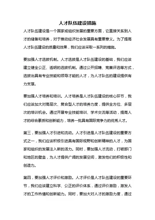 人才队伍建设措施