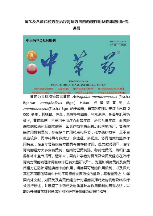 黄芪及含黄芪经方在治疗肾病方面的药理作用及临床应用研究进展