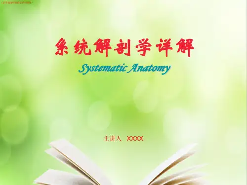 (医学)系统解剖学详解(医学健康讲座教学培训课件)