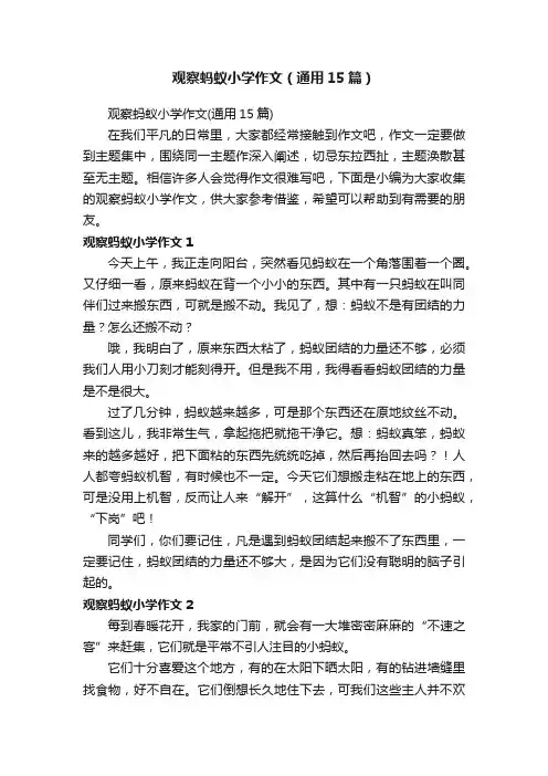 观察蚂蚁小学作文（通用15篇）