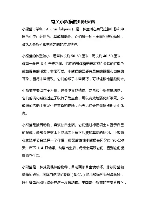 有关小熊猫的知识资料