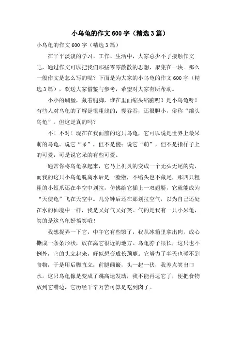 小乌龟的作文600字(3篇)