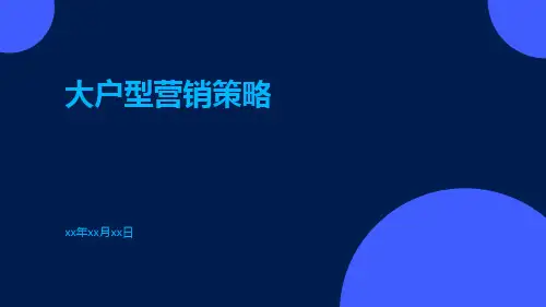 大户型营销策略