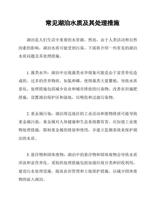 常见湖泊水质及其处理措施