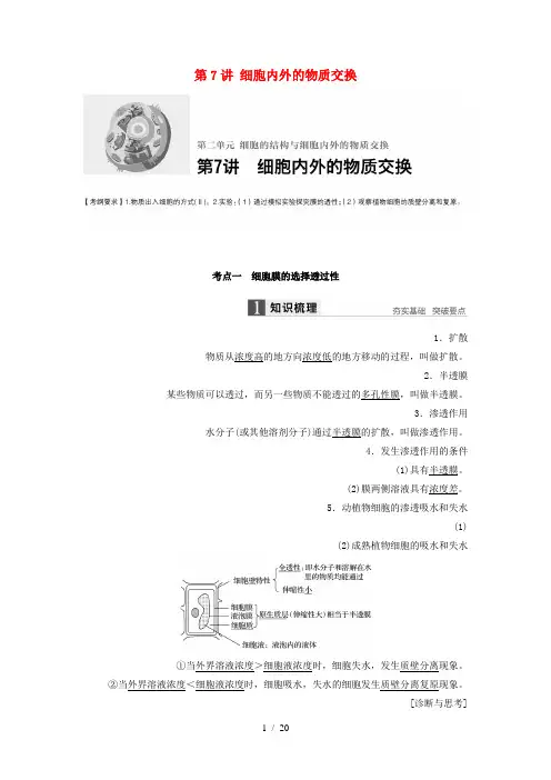 新高考生物一轮复习第二单元细胞的结构与细胞内外的物质交换第7讲细胞内外的物质交换学案(含解析)北师大