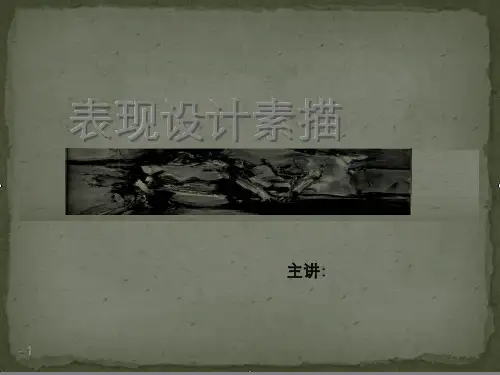 国家精品课程 表现设计素描 课件ppt