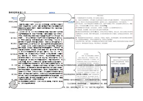我的低碳生活小报