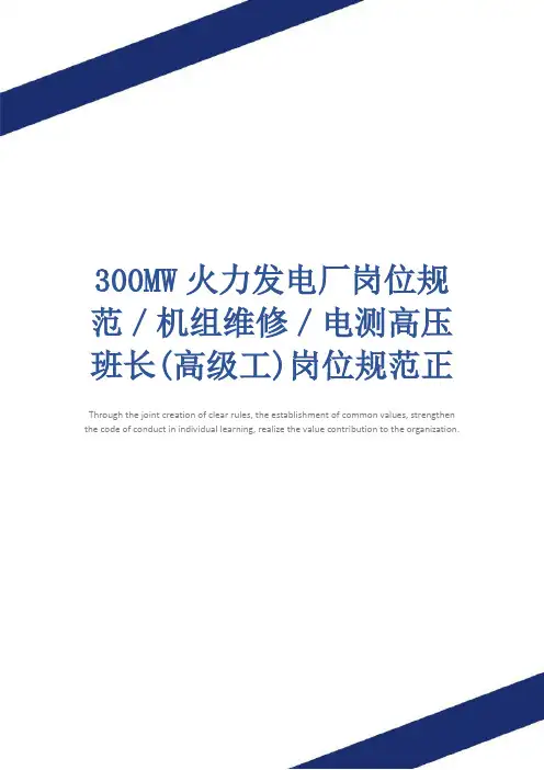 300MW火力发电厂岗位规范／机组维修／电测高压班长(高级工)岗位规范正式版