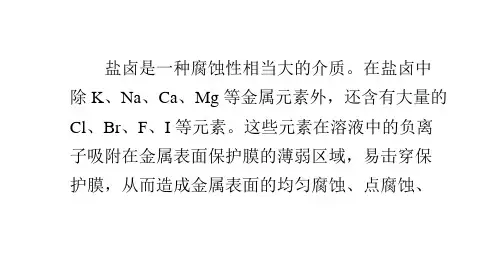 2205双相不锈钢在盐卤介质中的腐蚀行为