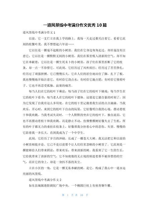一道风景线中考满分作文优秀10篇