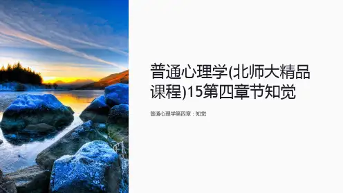 普通心理学(北师大精品课程)15第四章节知觉