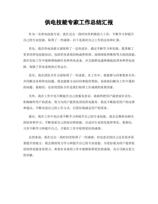 供电技能专家工作总结汇报