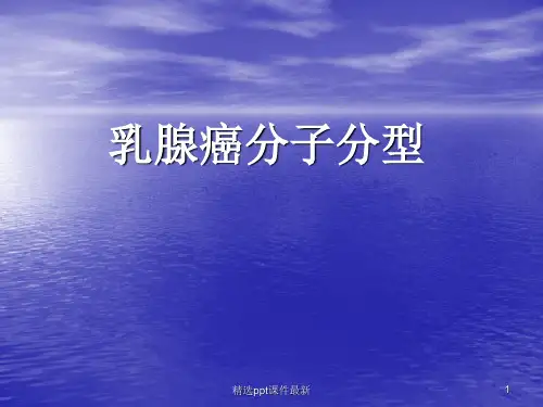 乳腺癌分子分型PPT课件