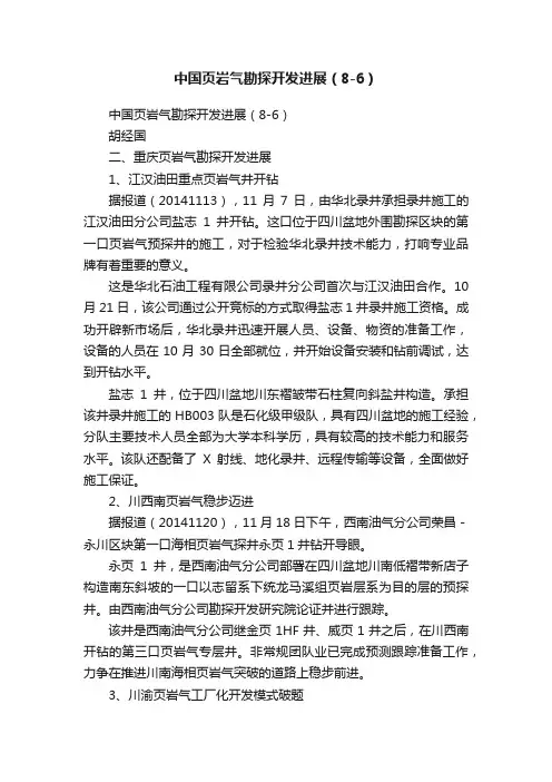 中国页岩气勘探开发进展（8-6）