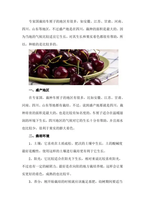 中国车厘子哪里盛产