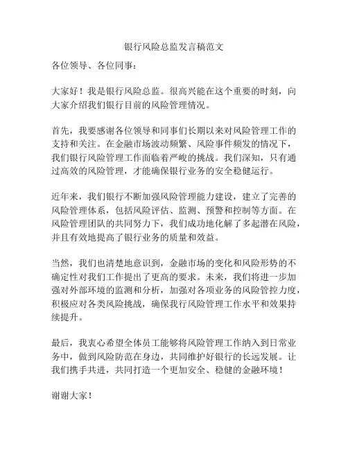 银行风险总监发言稿范文