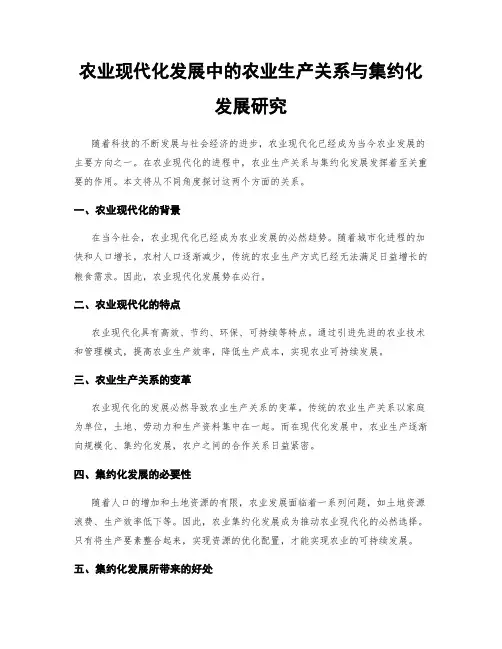 农业现代化发展中的农业生产关系与集约化发展研究