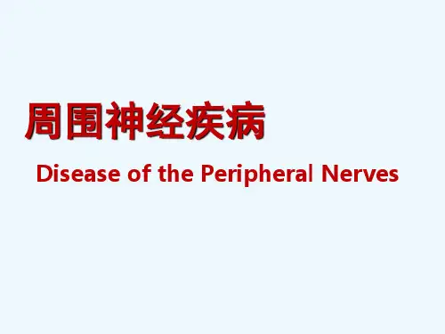 周围神经疾病-精品医学课件