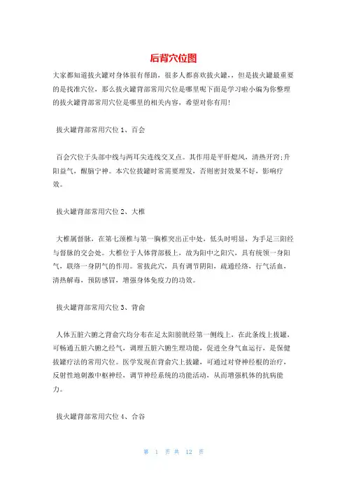 后背穴位图
