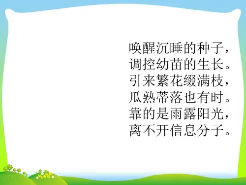 植物激素的调节-课件