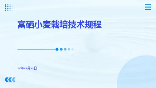 富硒小麦栽培技术规程