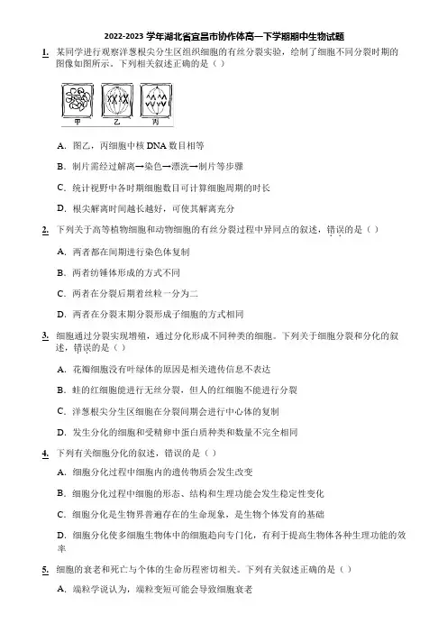 2022-2023学年湖北省宜昌市协作体高一下学期期中生物试题
