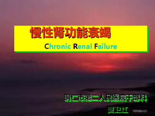 慢性肾功能衰竭讲义PPT课件