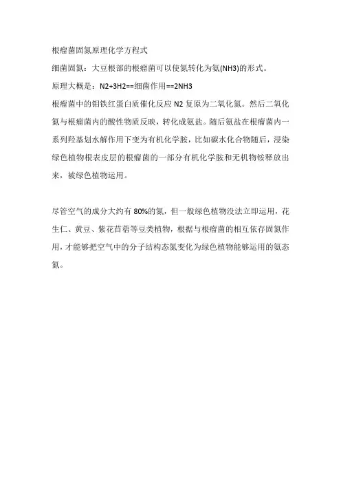 根瘤菌固氮原理化学方程式