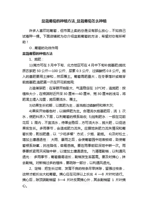 盆栽葡萄的种植方法_盆栽葡萄怎么种植