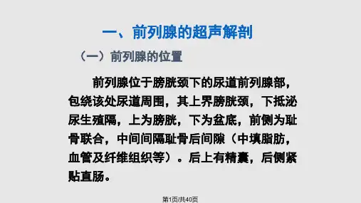 前列腺的超声诊断学PPT课件