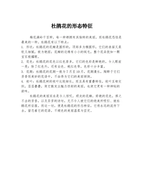 杜鹃花的形态特征