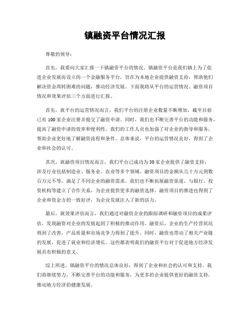 镇融资平台情况汇报