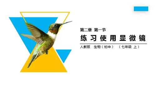 《练习使用显微镜》精品课件-人教版七年级生物上册PPT课件