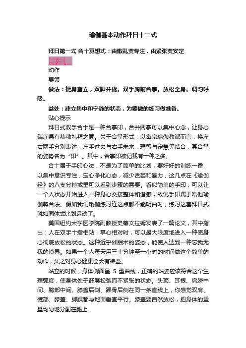 瑜伽基本动作拜日十二式