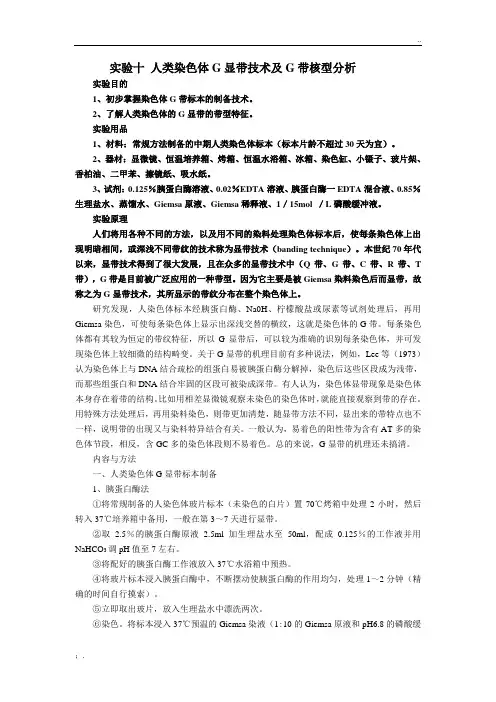 实验十 人类染色体G显带技术及G带核型分析