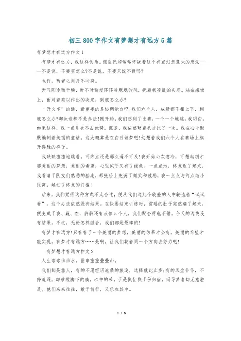 初三800字作文有梦想才有远方5篇