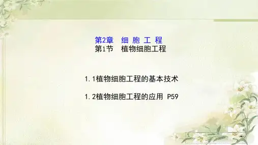 新教材人教版高中生物选择性必修3 2.1植物细胞工程 精品教学课件