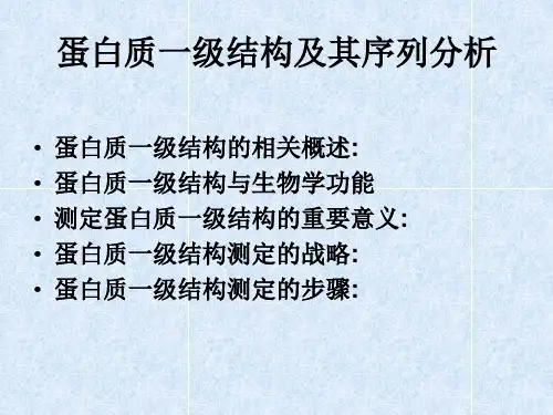蛋白质一级结构的测定