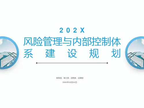 某某公司风控体系建设规划