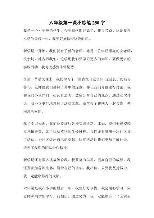 六年级第一课小练笔250字