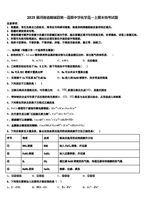 2025届河南省郸城县第一高级中学化学高一上期末统考试题含解析