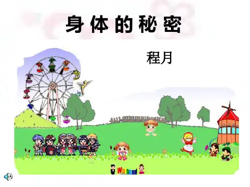 身体的秘密.ppt