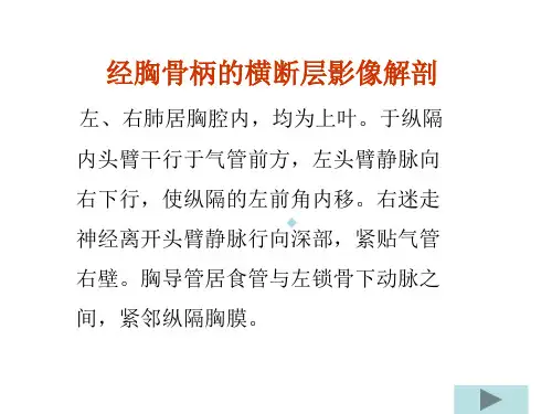 [医学]人体胸部断层解剖学