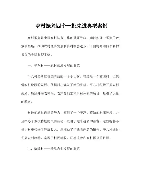 乡村振兴四个一批先进典型案例