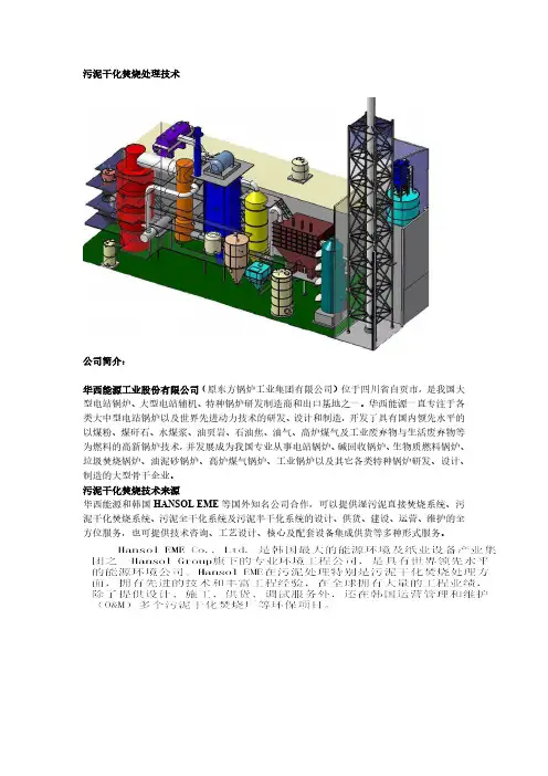 污泥干化焚烧处理技术