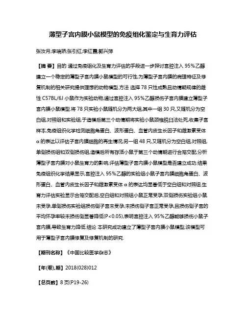 薄型子宫内膜小鼠模型的免疫组化鉴定与生育力评估