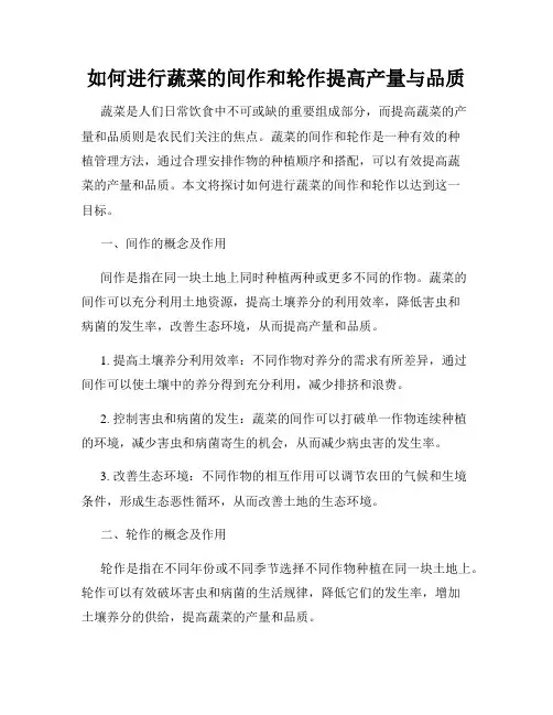 如何进行蔬菜的间作和轮作提高产量与品质