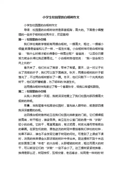 小学生校园里的白杨树作文
