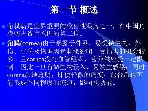 角膜病