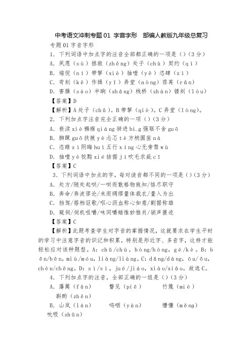 中考语文冲刺专题01 字音字形  部编人教版九年级总复习